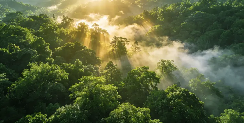 洛阳肺癌172基因检测图片1
