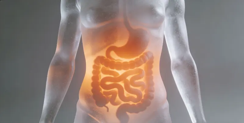 洛阳胃癌全面用药基因检测（组织）图片1